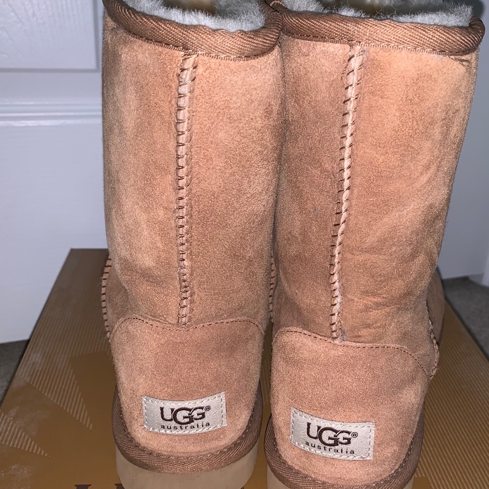 Tan classic short Ugg boots
